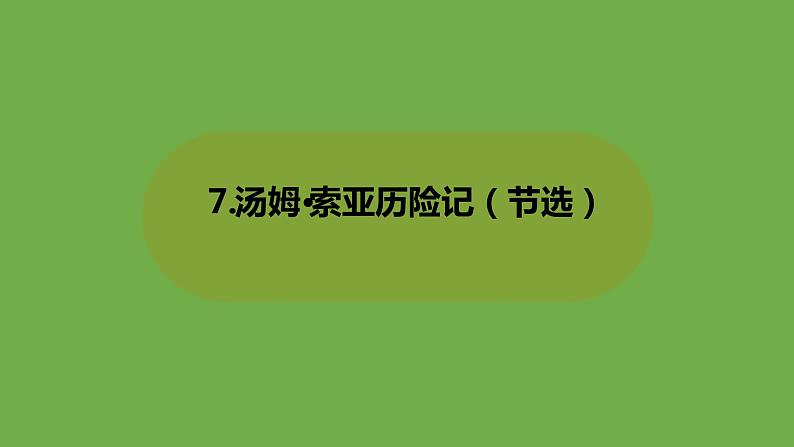 部编版六年级语文下册 2.7汤姆·索亚历险记（PPT课件+素材）01