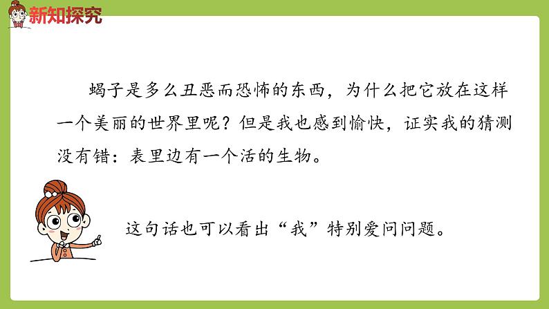 部编版六年级语文下册 5.16 表里的生物（PPT课件+素材）05