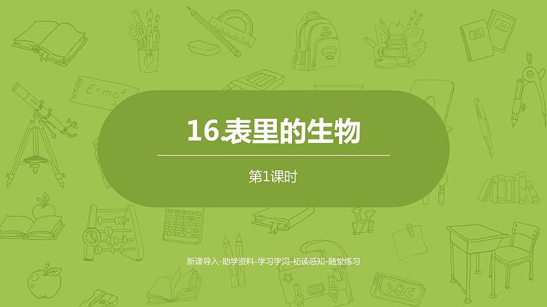 部编版六年级语文下册 5.16 表里的生物（PPT课件+素材）01