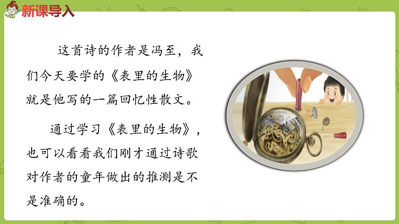 部编版六年级语文下册 5.16 表里的生物（PPT课件+素材）04