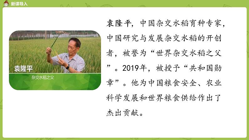 部编版六年级语文下册 5.15真理诞生于一百个问号之后（PPT课件+素材）04