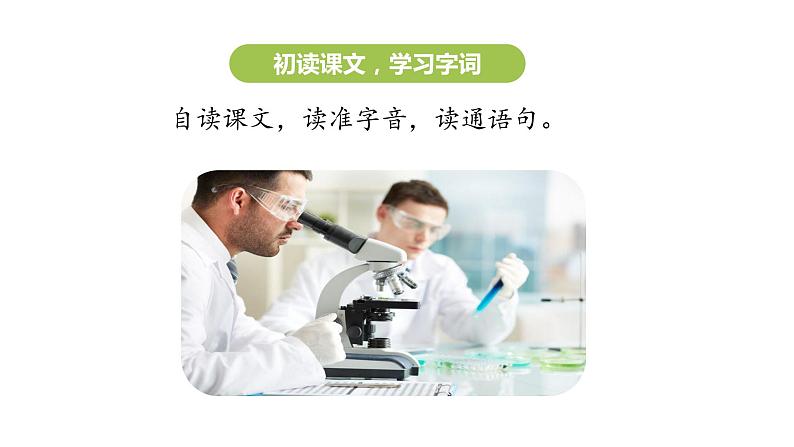 部编版六年级语文下册 5.15真理诞生于一百个问号之后（PPT课件+素材）06