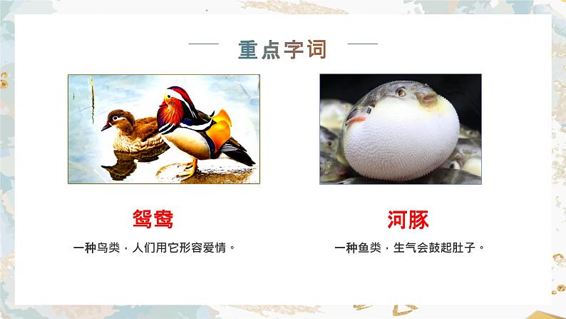 小学语文三年级下册部编版 第一单元主题学习（ 课件+素材）04