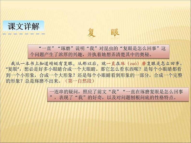 部编版小学语文三年级下册课件4《昆虫备忘录》课件第6页