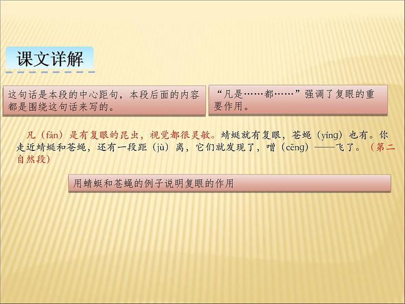 部编版小学语文三年级下册课件4《昆虫备忘录》课件第7页