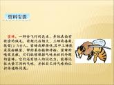 部编版小学语文三年级下册课件14《蜜蜂》 (22张)课件
