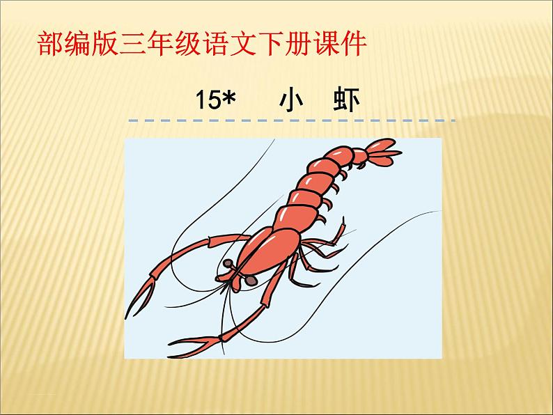 部编版小学语文三年级下册课件15《小  虾》 (17张)课件01