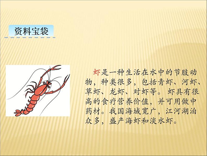 部编版小学语文三年级下册课件15《小  虾》 (17张)课件03