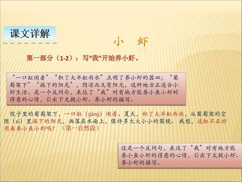 部编版小学语文三年级下册课件15《小  虾》 (17张)课件06