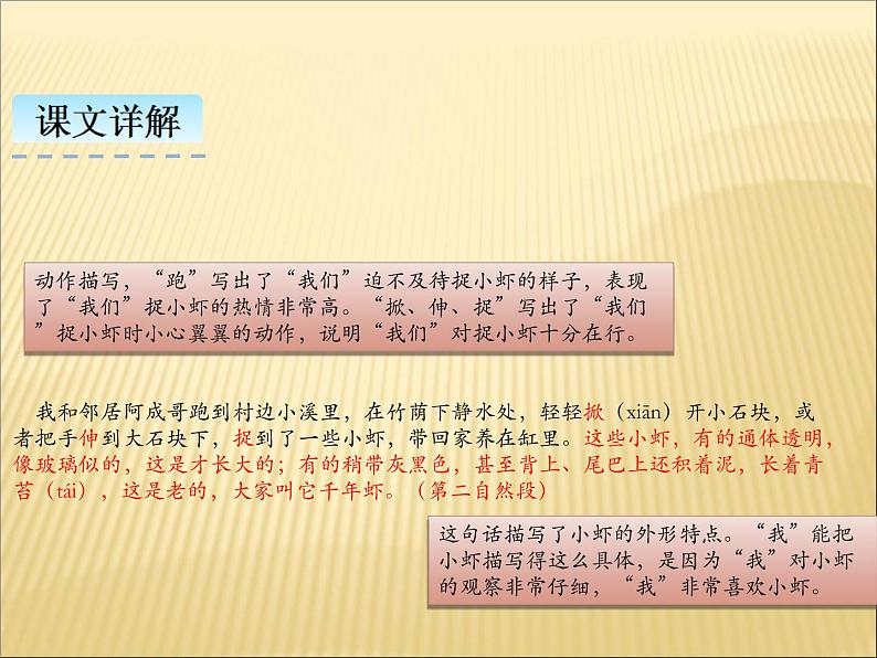 部编版小学语文三年级下册课件15《小  虾》 (17张)课件07