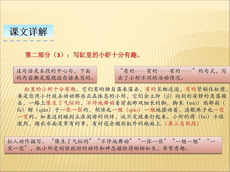 部编版小学语文三年级下册课件15《小  虾》 (17张)课件08