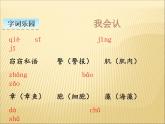 部编版小学语文三年级下册课件23《海底世界》 (23张)课件