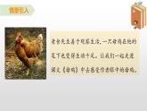 人教部编版四年级下册语文课件-《14母鸡》(共42张PPT)