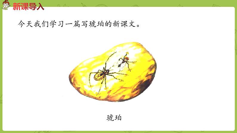 部编版四年级语文下册 第2单元第5课《琥珀》（PPT课件）03