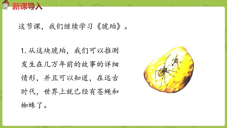 部编版四年级语文下册 第2单元第5课《琥珀》（PPT课件）02