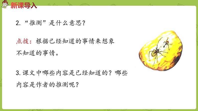 部编版四年级语文下册 第2单元第5课《琥珀》（PPT课件）03