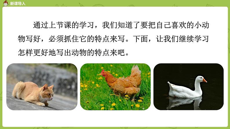 部编版四年级语文下册 第4单元习作（PPT课件）02