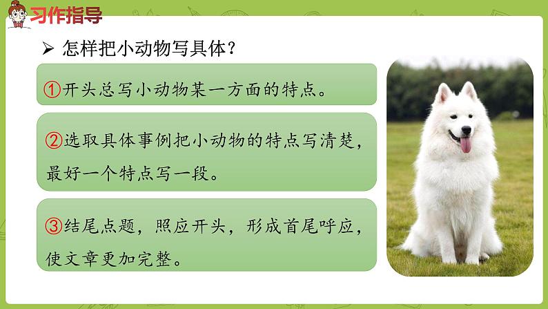 部编版四年级语文下册 第4单元习作（PPT课件）04