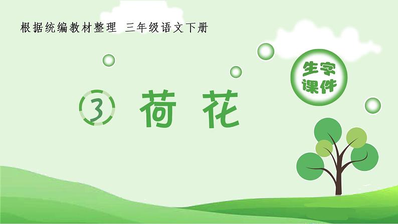 人教部编版语文三年级下册 3 荷花（生字+听写）PPT课件01