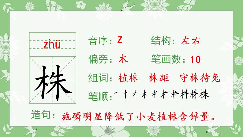 人教部编版语文三年级下册 5 守株待兔（生字+听写）PPT课件03