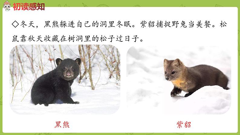 部编版四年级语文下册 第8单元语文园地（PPT课件）03