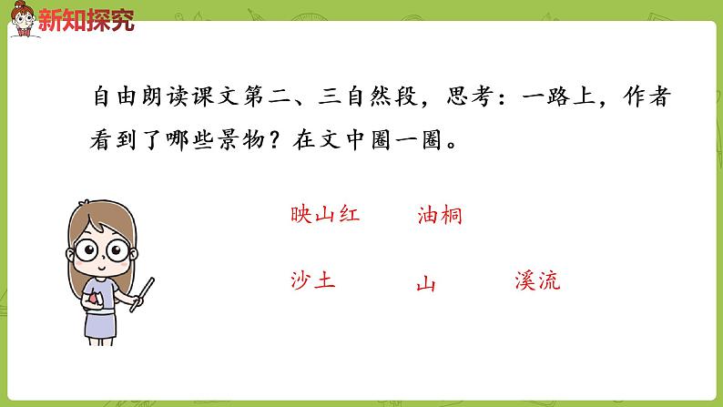 部编版四年级语文下册 第5单元第17课《记金华的双龙洞》（PPT课件）04