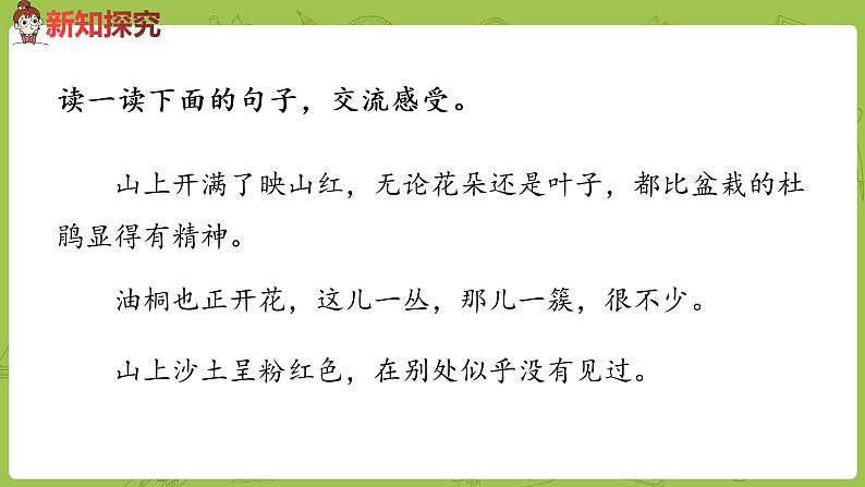 部编版四年级语文下册 第5单元第17课《记金华的双龙洞》（PPT课件）05
