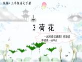 部编语文三下：3 荷花 精品PPT课件+音视频素材