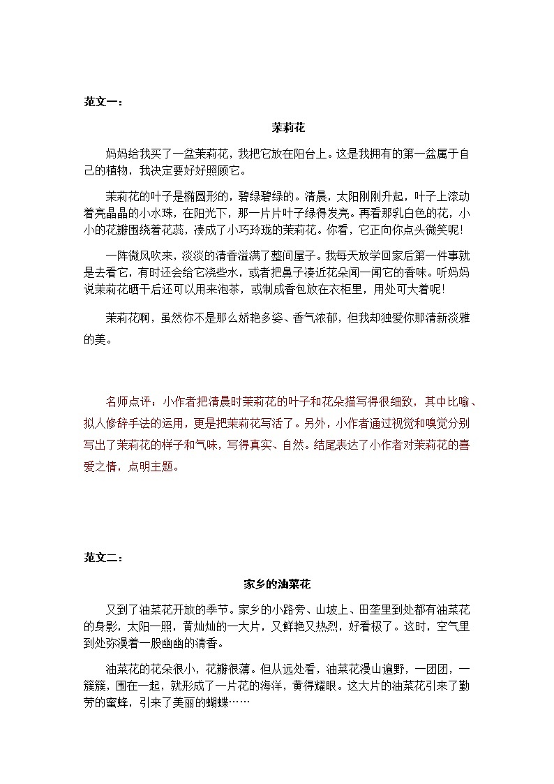 部编语文三下：习作一  我的植物朋友 精品PPT课件+习作例文01