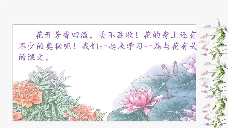 部编语文三下：13 花钟 精品PPT课件+音视频素材03