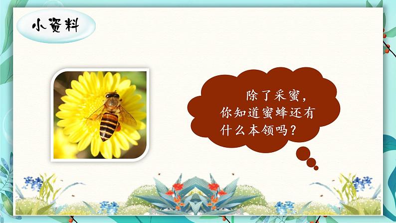 （教学课件）14.蜜蜂第2页