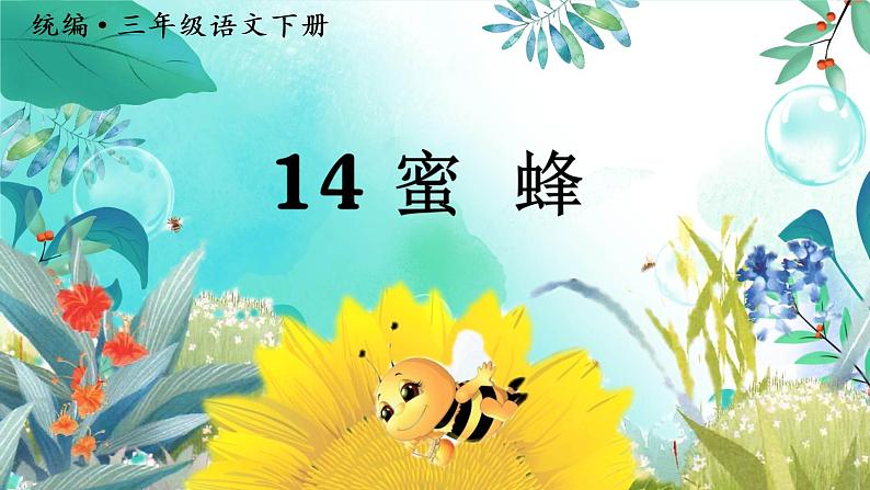 （教学课件）14.蜜蜂第4页