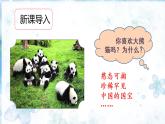 部编语文三下：习作七  国宝大熊猫 精品PPT课件+习作例文