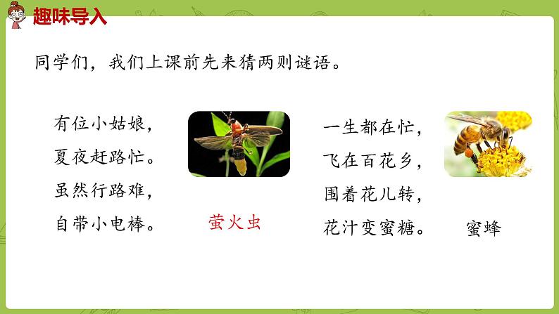 部编版三年级语文下册 第1单元 4.《昆虫备忘录》（PPT课件）02
