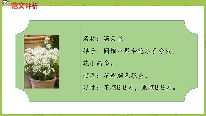 部编版三年级语文下册 第1单元习作（PPT课件）03