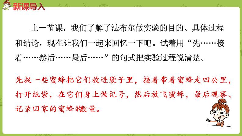 部编版三年级语文下册 第4单元 14.《蜜蜂》（PPT课件）02