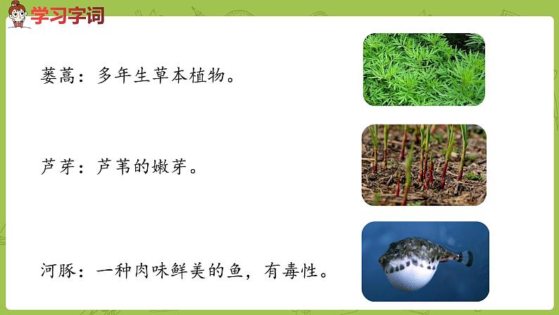 部编版三年级语文下册 第1单元 1.《古诗三首》（PPT课件）06