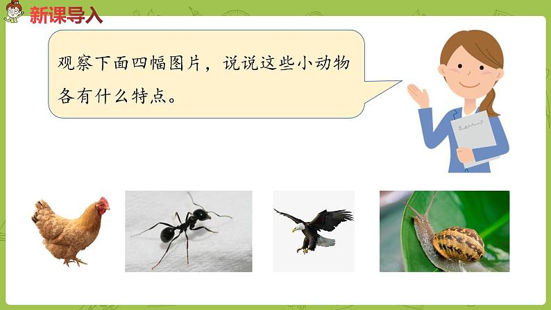 部编版三年级语文下册 第8单元习作（PPT课件）02
