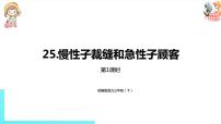 小学语文人教部编版三年级下册第八单元25 慢性子裁缝和急性子顾客课文配套课件ppt