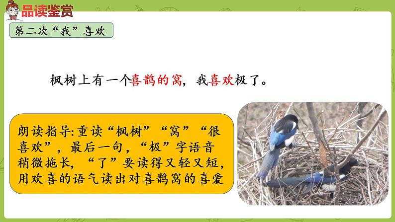 统编版语文二年级（下）第4单元9《枫树上的喜鹊》课时2第8页