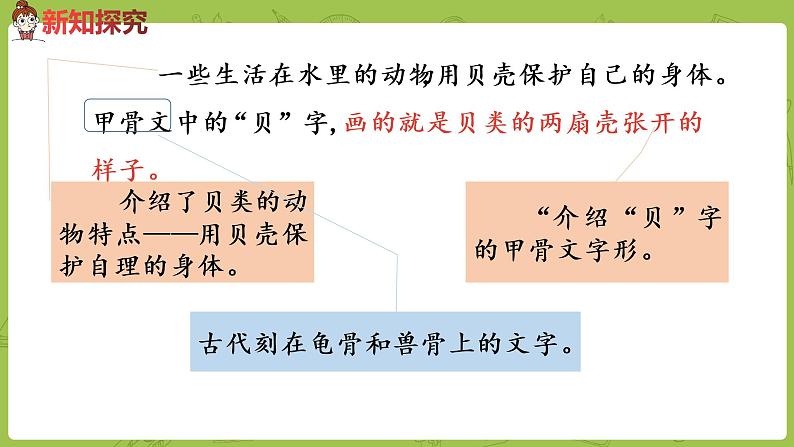 统编版语文二年级（下）第3单元《“贝”的故事》课时2第5页