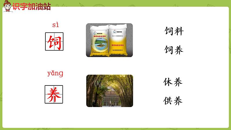 统编版语文二年级（下）第2单元语文园地课时1第8页