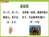 统编版语文二年级（下）第6单元19《大象的耳朵》课件+素材