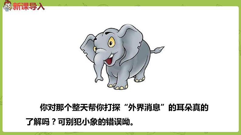 统编版语文二年级（下）第6单元19《大象的耳朵》课件+素材03