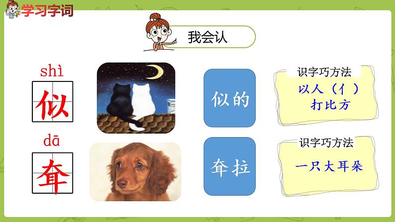 统编版语文二年级（下）第6单元19《大象的耳朵》课件+素材05