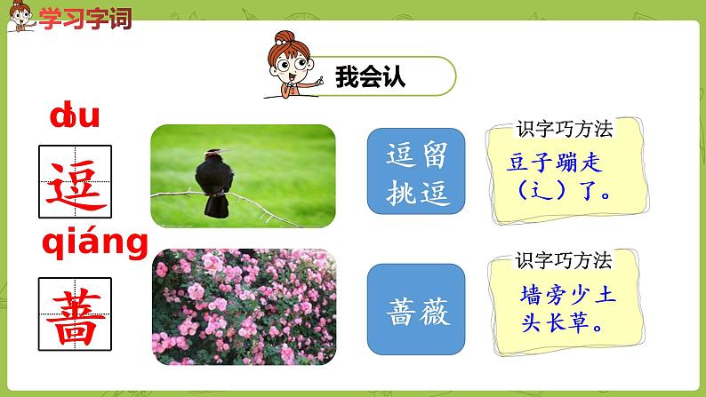 统编版语文二年级（下）第7单元《祖先的摇篮》 课件05