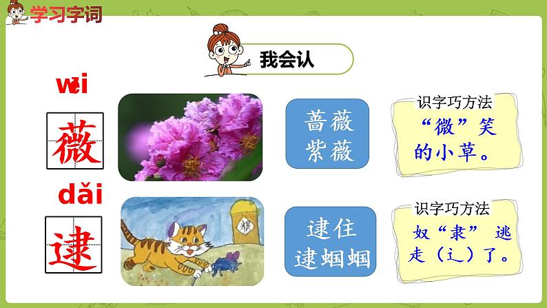 统编版语文二年级（下）第7单元《祖先的摇篮》 课件06