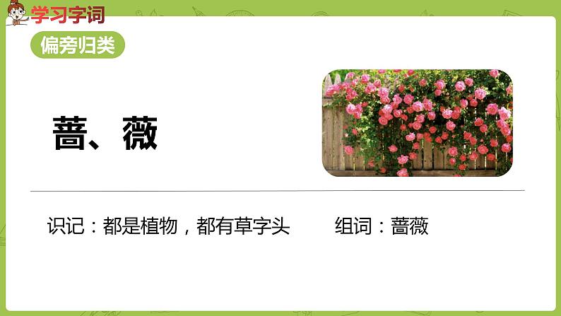 统编版语文二年级（下）第7单元《祖先的摇篮》 课件08