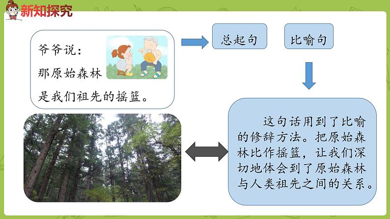 统编版语文二年级（下）第7单元《祖先的摇篮》 课件04