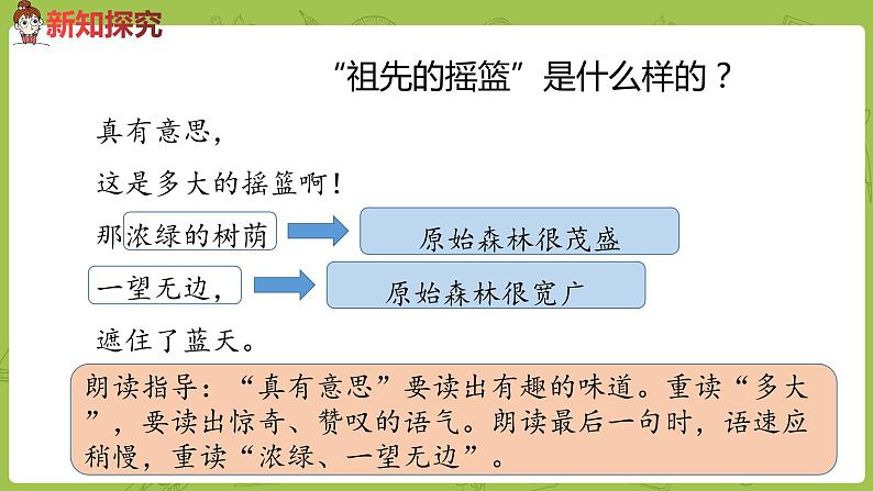 统编版语文二年级（下）第7单元《祖先的摇篮》 课件05